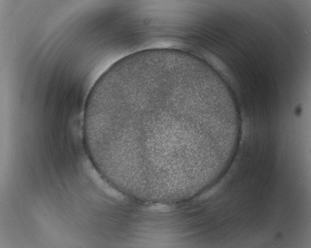 X0000115211178200911251500