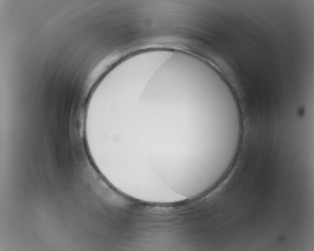 X0000115211180200911251500