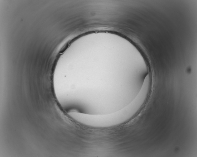 X0000115211181200911251500