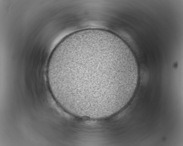 X0000115211182200911251500