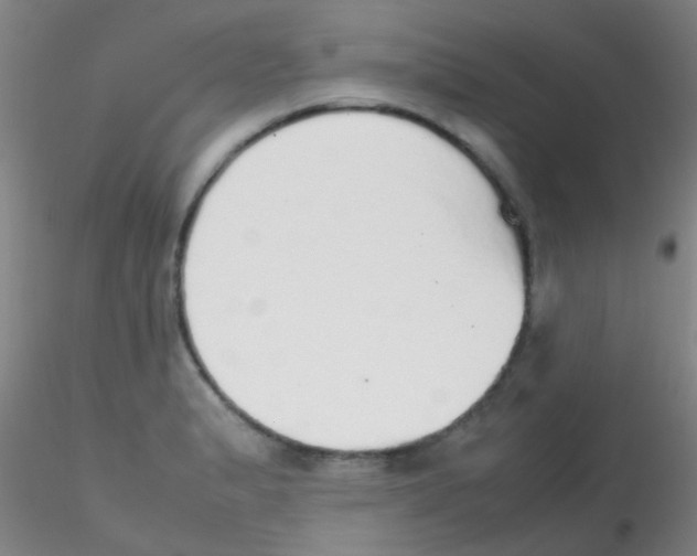 X0000115211183200911251500