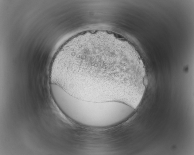 X0000115211184200911251500