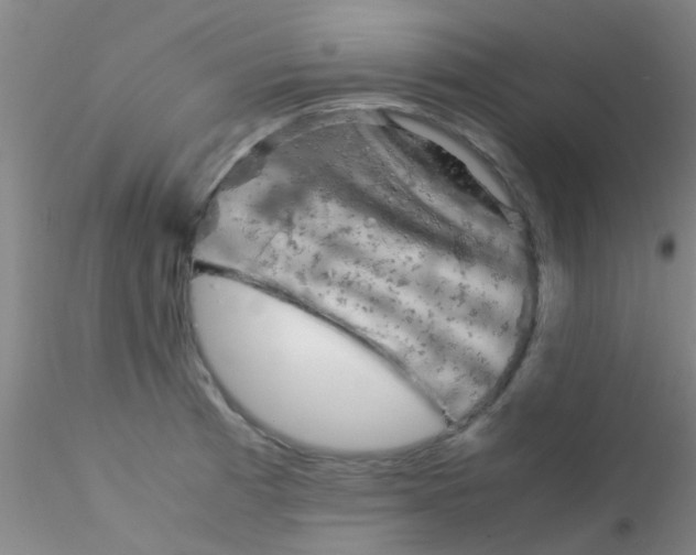 X0000115211185200911251500