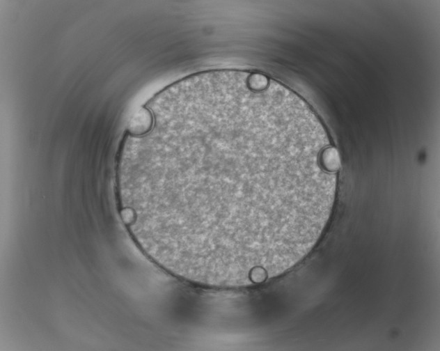 X0000115211187200911251500