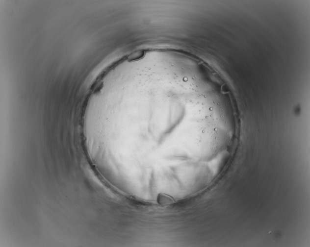 X0000115211189200911251500