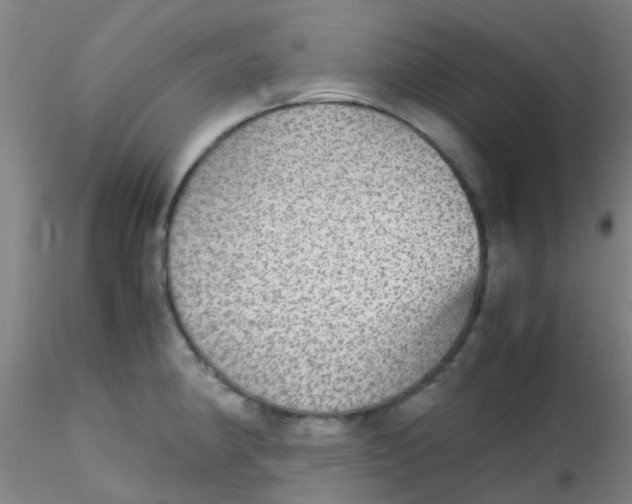 X0000115211190200911251500