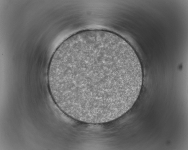 X0000115211191200911251500