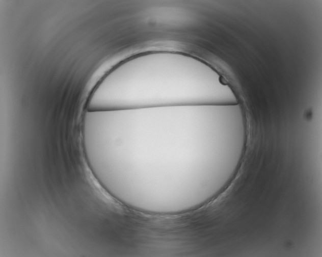 X0000115211192200911251500