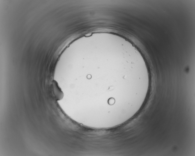 X0000115211193200911251500