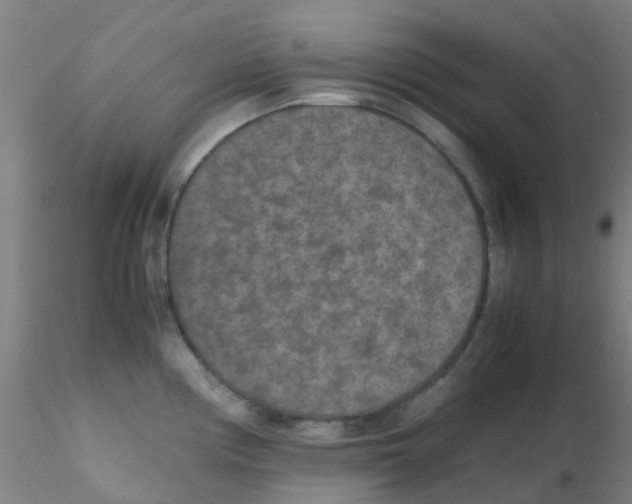 X0000115211194200911251500