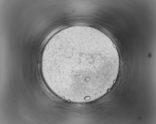 X0000115211195200911251500