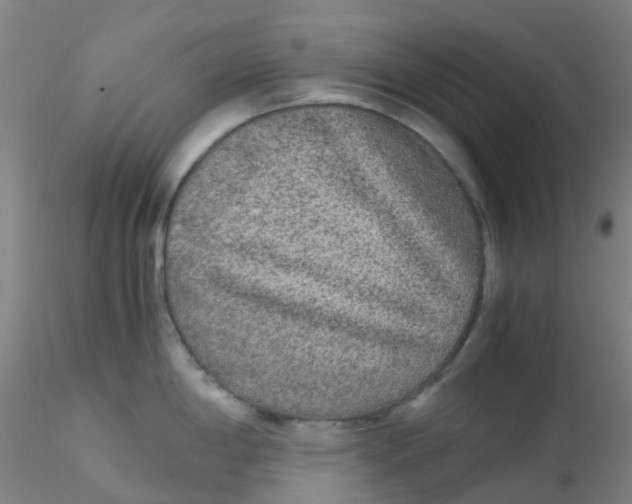 X0000115211198200911251500