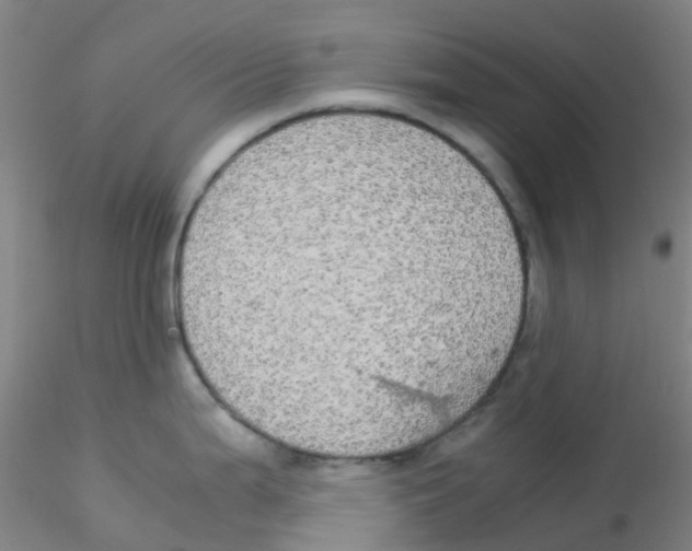 X0000115211199200911251500