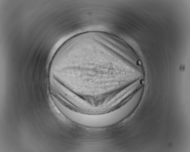 X0000115211200200911251500