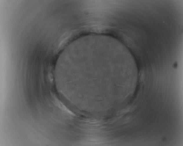 X0000115211202200911251459