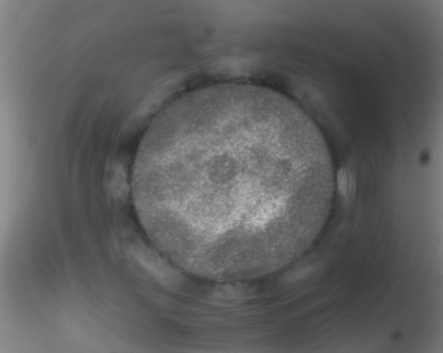 X0000115211203200911251459