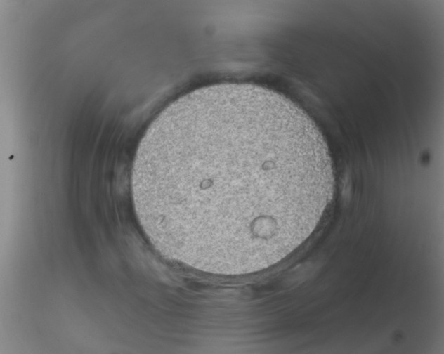 X0000115211204200911251459