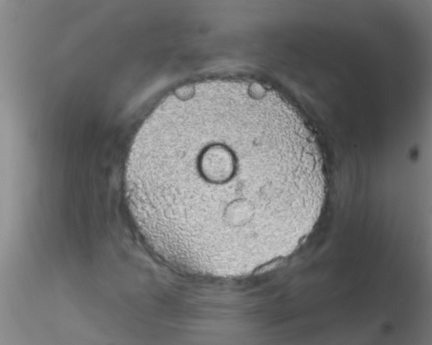 X0000115211206200911251459