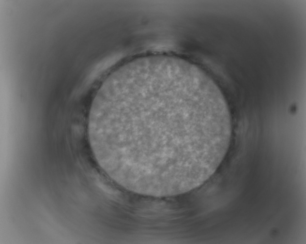 X0000115211207200911251459