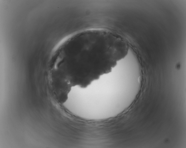 X0000115211208200911251459