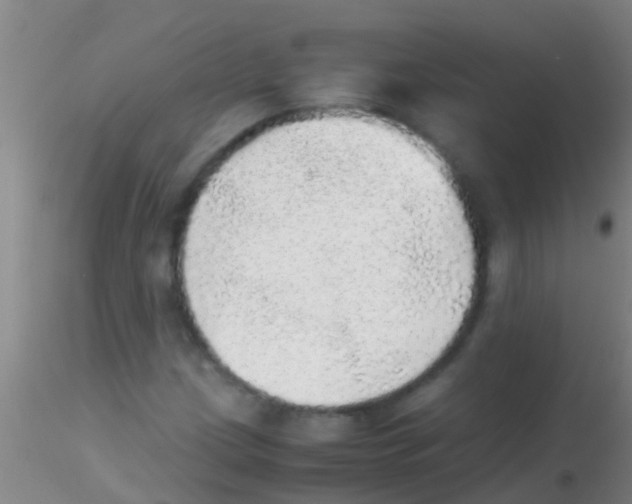 X0000115211209200911251459