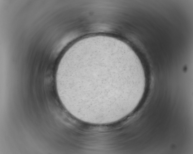 X0000115211210200911251459