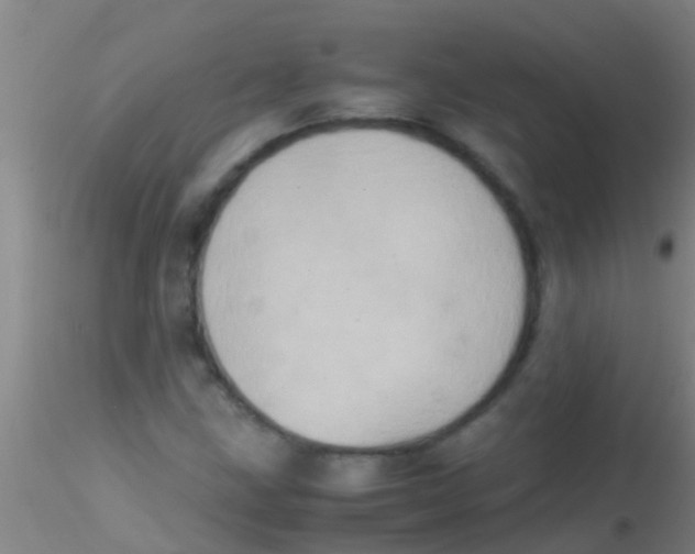 X0000115211211200911251459