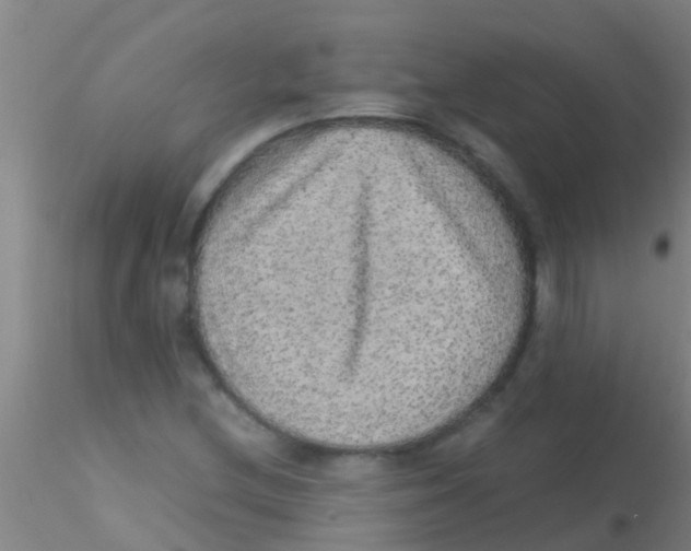 X0000115211212200911251459