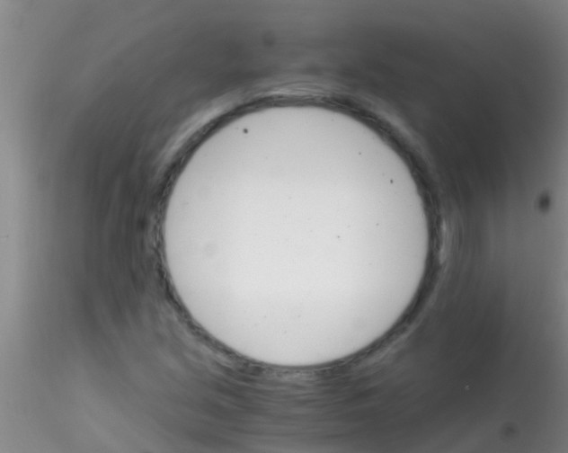 X0000115211213200911251459