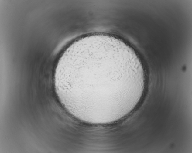 X0000115211214200911251459