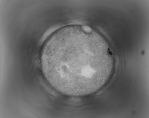 X0000115211215200911251459