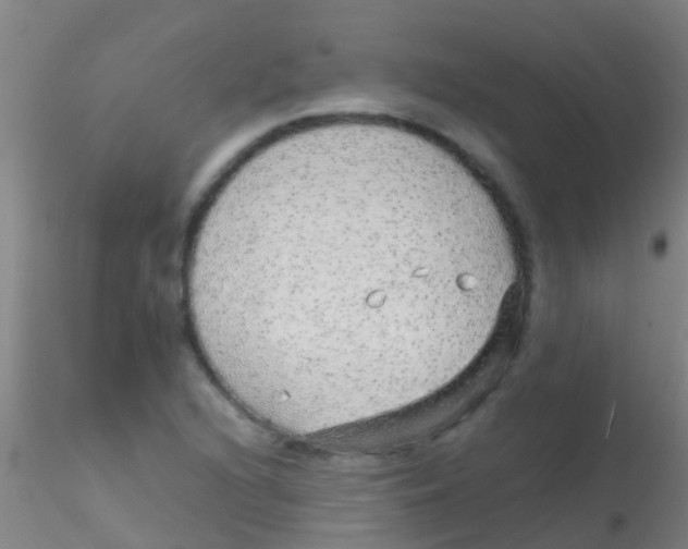 X0000115211216200911251459