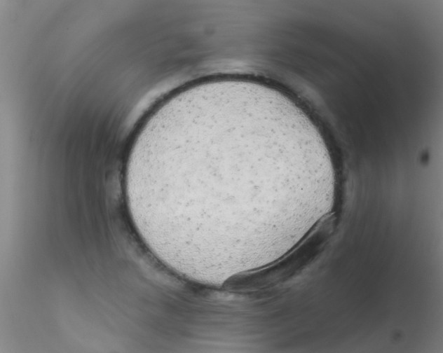 X0000115211218200911251459