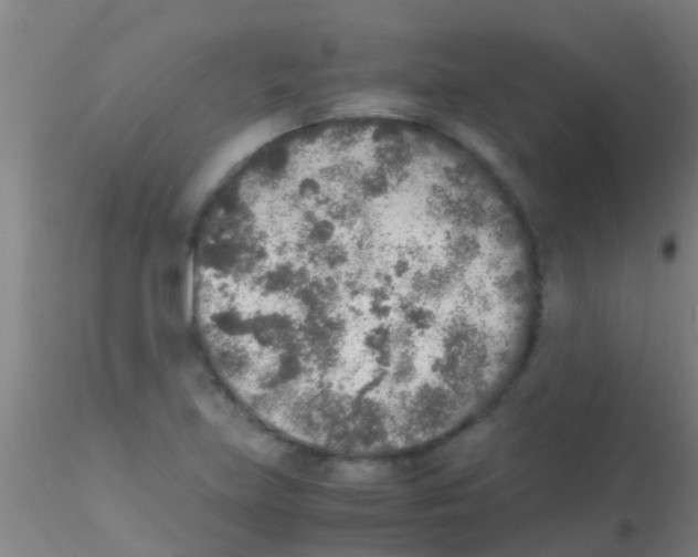 X0000115211219200911251459