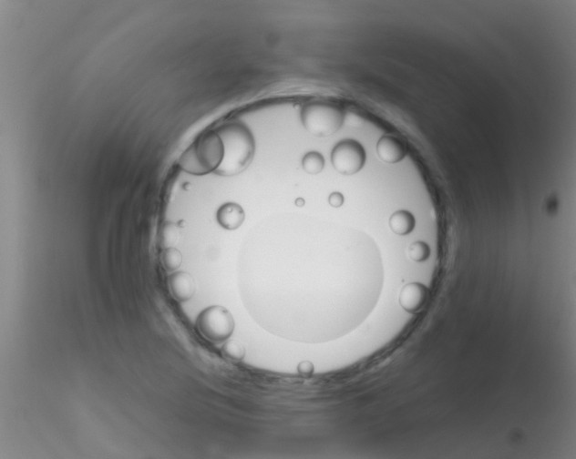 X0000115211220200911251459