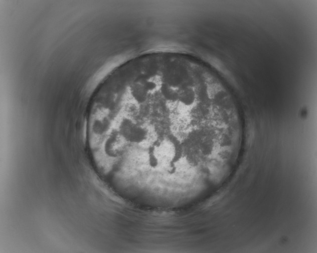 X0000115211221200911251459