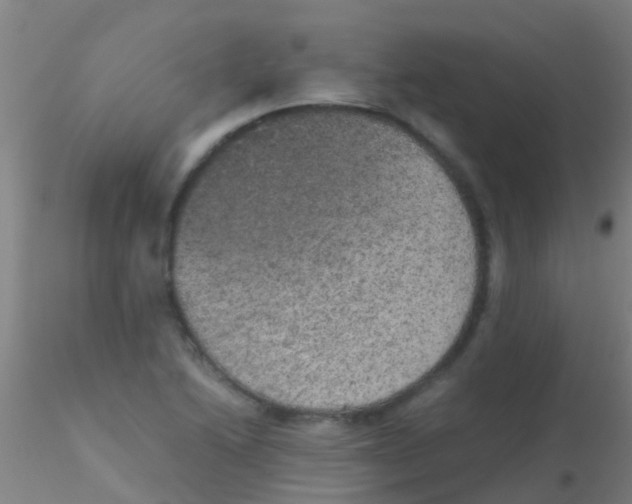 X0000115211222200911251459