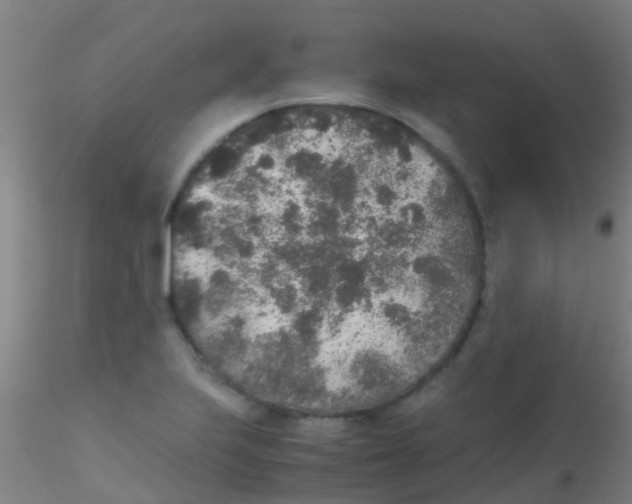 X0000115211223200911251459