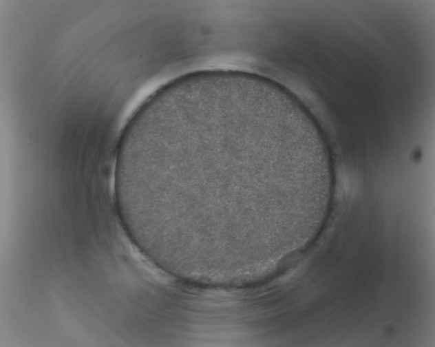 X0000115211224200911251459