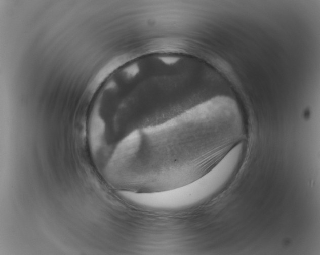 X0000115211226200911251459