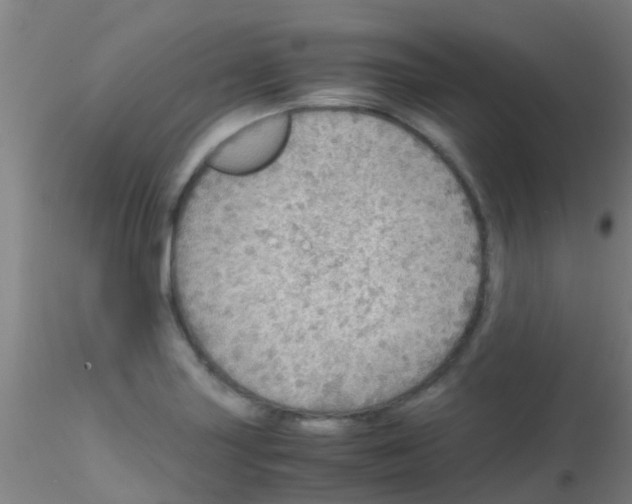 X0000115211227200911251459