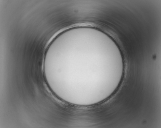 X0000115211228200911251459