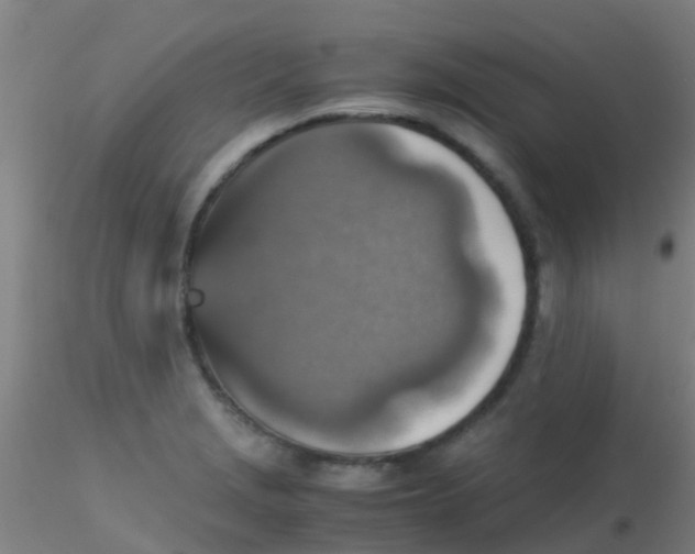 X0000115211229200911251459