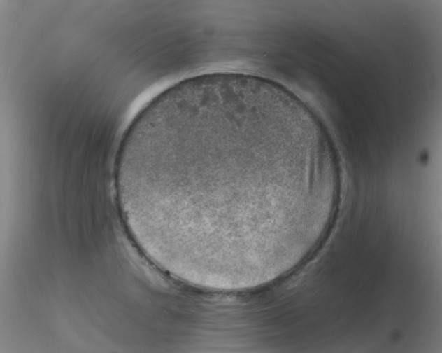 X0000115211230200911251459