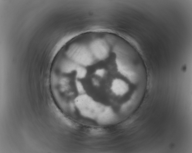 X0000115211231200911251500