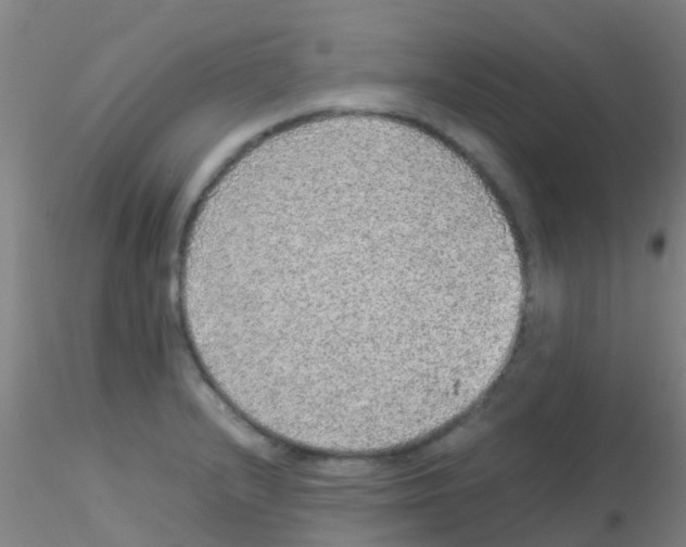 X0000115211232200911251500