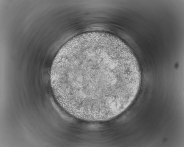 X0000115211233200911251500