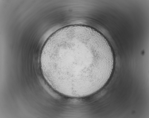 X0000115211234200911251500