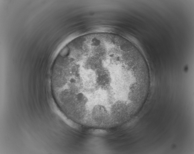 X0000115211235200911251500