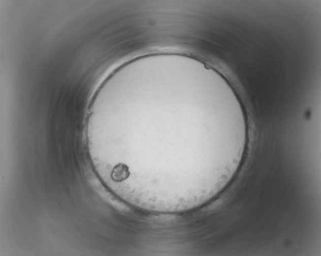 X0000115211236200911251500